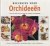 Beeldgids voor orchideeën