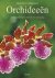 JÃ–RN PINSKE - Praktisch handboek orchideeën