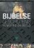 Bijbelse Geschiedenis In Wo...