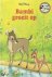Disney Boekenclub - Bambi g...