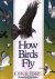 John K. Terres - How Birds Fly