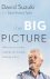 David Suzuki & David Taylor - The Big Picture