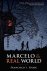 Francisco X. Stork - Marcelo in the Real World