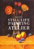 Michael Friel - Still Life Painting Atelier
