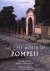 The Lost World of Pompeii.