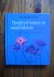 Honderd lessen in mindfulness
