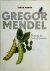 Gregor Mendel Planting the ...