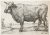 Ets/etching: The Bull [Set:...