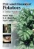 Diseases, Pests and Disorde...