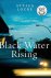 Attica Locke - Black Water Rising