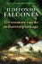 Ildefonso Falcones - De vrouwen van de suikerrietplantage