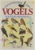 Geïllustreerde gids Vogels ...