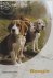 J. Verschure - De Beagle