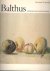 CARANDENTE, GIOVANNI - Balthus: drawings and watercolors. With 138 illustrations, 27 in colour