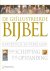 De geïllustreerde Bijbel