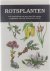 Vasak P. - Rotsplanten: een beschrijving van meer dan 300 soorten rotsplanten, met vele illustraties in kleur