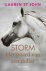 Storm - Het paard van een d...