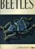 REITTER, Ewald - Beetles