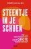 Steentje in je schoen