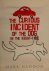 The Curious Incident of the...