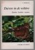Duiven in de voliere : wild...