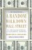 A Random Walk Down Wall Street