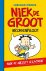 Niek de Groot - Brokkenpiloot