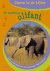 Fang-Ling Li - Machtige Olifant