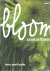 Bloom. A view on flowers. A...