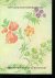  - Een Galajapon omstreeks 1760