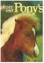 Alcock, Anne - Plezier met pony's