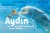 Olaf Koens - Aydin