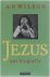 Jezus : een biografie