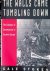 Stokes, Gale - The Walls Came Tumbling Down: The Collapse of Communism in Eastern Europe
