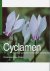 Cyclamen