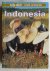 Indonesia a travel survival...
