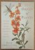 The Origin of Plants. The P...