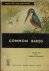 Common Birds - India - The ...