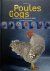 Poules  Coqs .(Kippen en Ha...