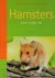 Raadgever huisdieren- Hamsters