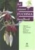 Het nieuwe Fuchsia handboek