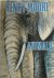 Henry Moore, animals
