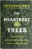 The Heartbeat of Trees