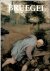 Marijnissen, Roger H. - Bruegel. Das vollst ndige Werk