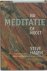 Steve Hagen & George Hulskramer - Meditatie nu of nooit