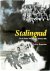 Stalingrad The Air Battle: ...