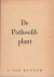 De pothoofdplant.