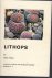 Fearn, Brian - Lithops