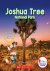 Joshua Tree National Park (...