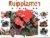 PHILLIPS, Sue  & MACHIELSEN, Liesbeth  & TEXTCASE, - Beeldgids voor kuipplanten